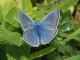 DSC_0079.jpg