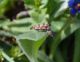 DSC_1179.JPG