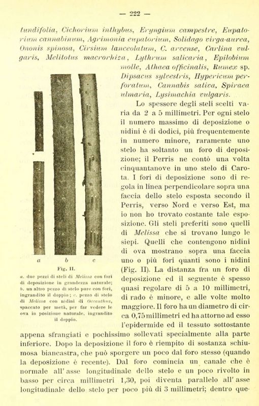 bollettinodellab141920rscufo_0244.jpg
