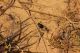 Campo_Felice_21-V-2012_CN030b.JPG