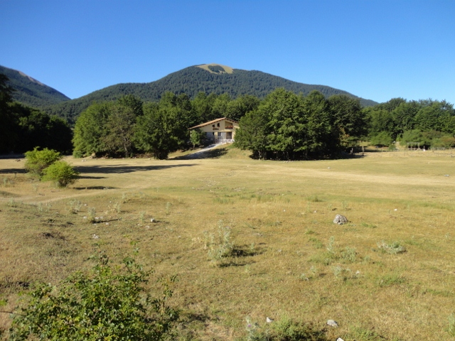 DSC00245 (640x480).jpg