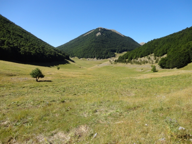 DSC00256 (640x480).jpg