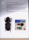 Illustrated catalogue of the Lucanidae from Africa and Madagascar  040.jpg