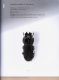 Illustrated catalogue of the Lucanidae from Africa and Madagascar  067.jpg