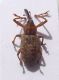 DSCF1735.JPG