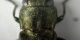 Agrilus1 carinula.jpg