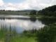 DSC01226.JPG