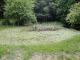 DSC01213.JPG