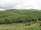 DSC01207.JPG