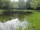DSC01199.JPG