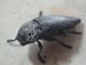 DSC01248.JPG