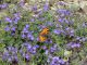 DSC01209.JPG