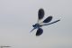 DSC_6685pbase.jpg