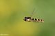 DSC_5508pbase.jpg