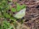 DSCN4919.JPG