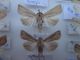 DSC01335.JPG