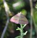 DSC_1402.JPG