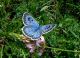 Subasio 05 06 2012 83.jpg