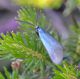 DSC_1407.JPG