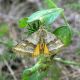 DSCN5165.jpg