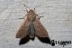 2012May18_0997.jpg