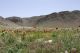 04 panorama_3.jpg