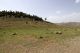 09 Col du Zad_2.jpg