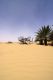 04 The nel deserto.jpg