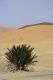 09 Erg Chebbi.jpg