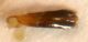 DSCN1195.JPG