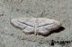 2012Jun15_1377.jpg