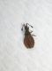 DSCN8465-3.jpg