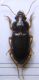 DSCN0034 - Copia.JPG