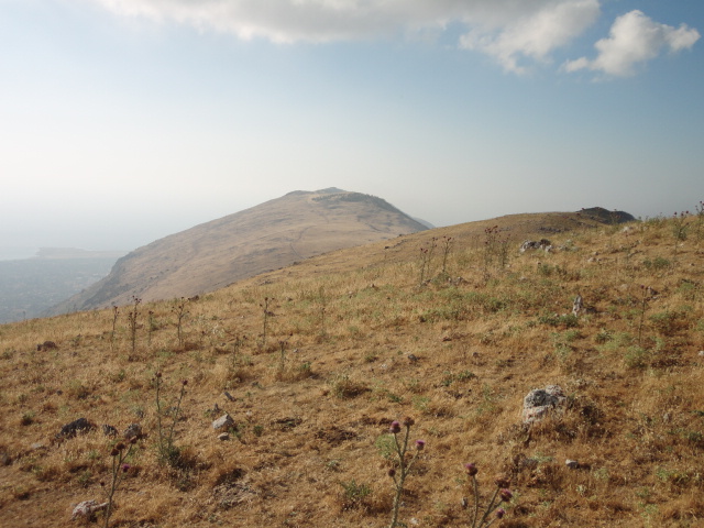 Crinale nordoccidentale.JPG