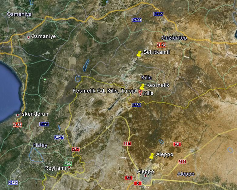 area D.halepense.jpg