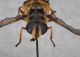 P7090715cr.jpg