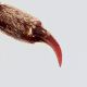 object_x.jpg