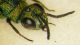 DSCF2759.JPG