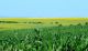Bulgaria 2012 07 01 0051.jpg