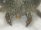DSCN1619.JPG