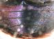 Image7.jpg