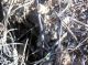 tn_DSCN3860.JPG