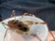 2012_08_11_09_26_51_467.jpg