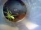 2012_08_12_13_10_36_694.jpg