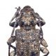 Aegomorphus 1200dp stacc.jpg