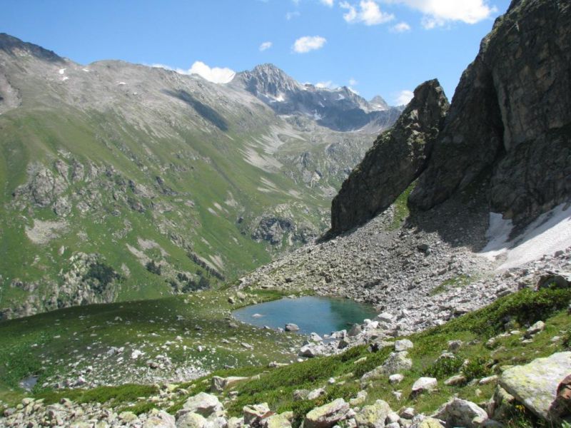 Caucasus Teberda 2012 (6).jpg