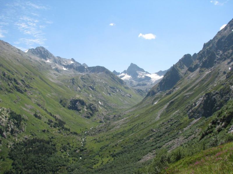 Caucasus Teberda 2012 (7).jpg