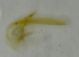 CIMG2877.jpg