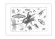 Pagine da Hoefenagel[DI]_1630_DiversaeInsectarumVolatilium.jpg