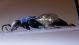 DSCF3017.JPG